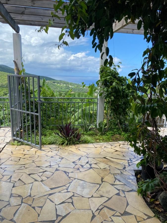 Bas De Villa Courbaril Буйант Экстерьер фото